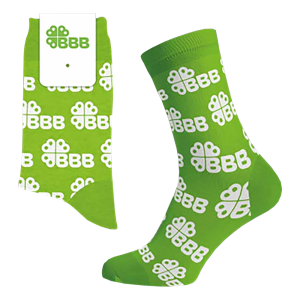 BBB Sokken groen